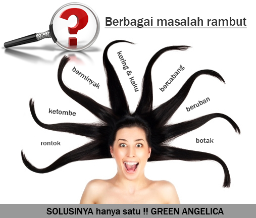 obat RAMBUT BOTAK, obat rambut rontok, green angelica